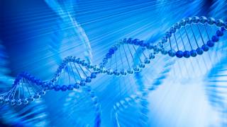 Culture Etched on Our DNA More Than Previously Known, Research Suggests
