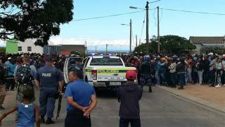 Hermanus Land Grab: What Has Sparked the Violence?