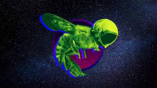 The Mystery of the ‘SpaceBees’ Just Got Even Weirder