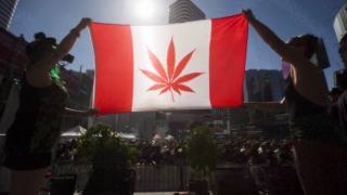 Prime Minister Justin Trudeau Says Marijuana Will Be Legal in Canada