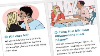 Sweden Invests Millions to Teach Migrants How to Have Sex ‘with Blonde Women’