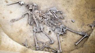 Bones From 6,000-Year-Old Massacre Found in France