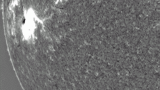 Scientists Spot 'Tsunami' on the Sun