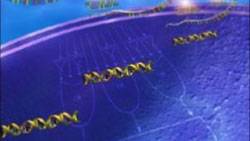 In A First, Scientists Develop Tiny Implantable Biocomputers