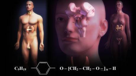 Alarm over gender-bending chemical