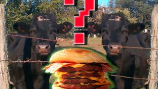 Burgers from cloned animals 'by 2010'