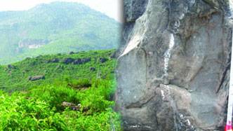 1m-years-old footprints found at Margalla Hills