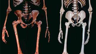 Neanderthals' Disappearance Gets More Mysterious