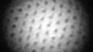 New Form of Matter Discovered, Part Laser, Part Superconductor