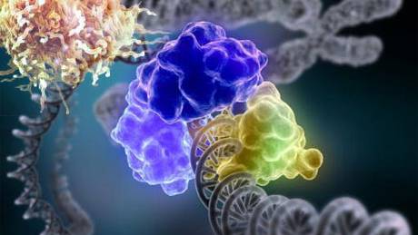 Scientists have a new way to reshape nature, but none can predict the cost