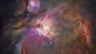 Quantum physics: It's all about me, me, me, isn't it?