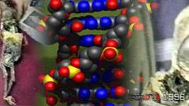 Russian geneticists to reveal alien’s DNA mystery