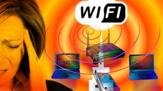 Wi-Fi: Children at risk from 'electronic smog'