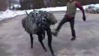 "BigDog" Walks on any Terrain, Shockingly Creepy Gait (Video)