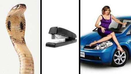 Study: Men's brains link sex and money