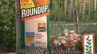 The World According to Monsanto (Video)