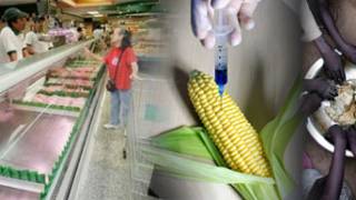 U.S. using food crisis to boost bio-engineered crops