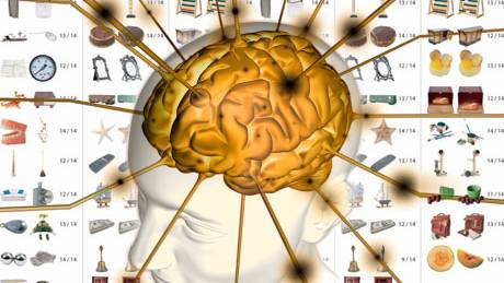 Humans Have Astonishing Memories, Study Finds