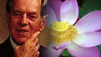 Sukhavati - Place of Bliss: A Mythic Journey with Joseph Campbell (Video)