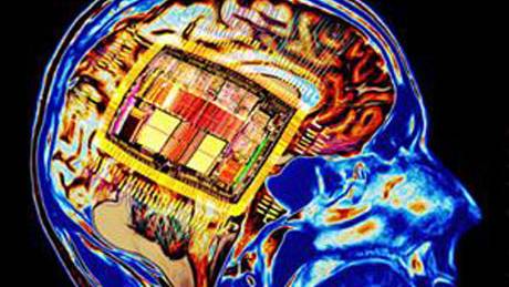 Reading This Will Change Your Brain