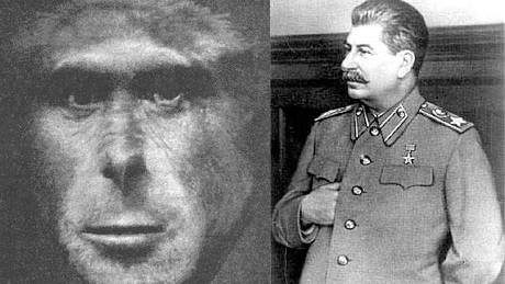 Legal loophole in embryology bill could pave the way for human-ape hybrids