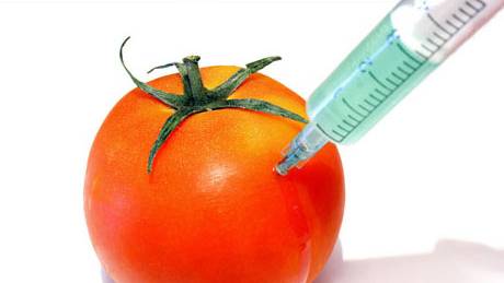 Obama's Latest Sellout - GM Biotech 'Yes Men'