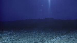 Christmas Star Mystery Continues