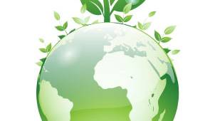 Environmental Education, Environmental Indoctrination