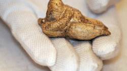 35,000-year-old ivory carving found: Busty sculpture could be world's oldest