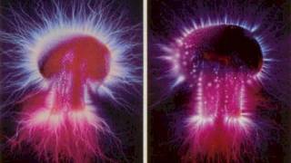 Russian Kirlian Camera can see Human Soul