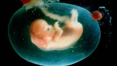 US clinic offers British couples the chance to choose the sex of their child