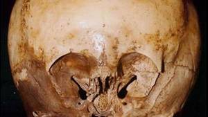 Is the “Smoking Gun” of UFO/Alien Research in Hand?