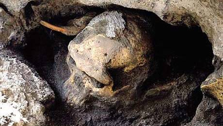 A skull that rewrites the history of man