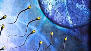 New Stem Cell Research: Men & Women not needed for first step in Making babies