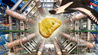 Baguette Dropped From Bird's Beak Shuts Down The Large Hadron Collider (Really)