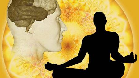 Signature of consciousness captured in brain scans