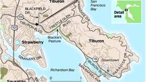 Tiburon to Photograph License Plates of All Cars Entering Town