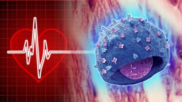 A By-Product of Heart Transplants - Cellular Memory