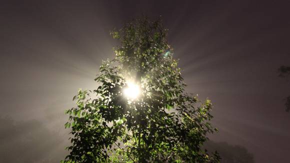 Bright Lights that Hypnotize: Mysterious Aerial Illuminations