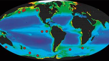 Climate Hacking Scheme Could Load the Ocean With Neurotoxins