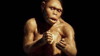 "Missing link" between humans and their apelike ancestors to be announced