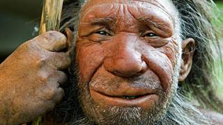 Study suggests humans mated with Neanderthals