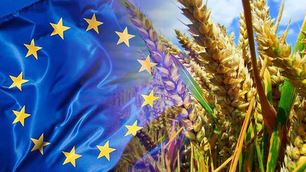 Paper reveals EU plan to boost GM crop cultivation