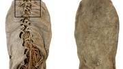 Oldest leather shoe steps out after 5,500 years