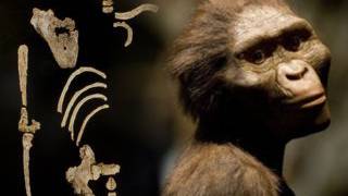 Africa’s next top hominid