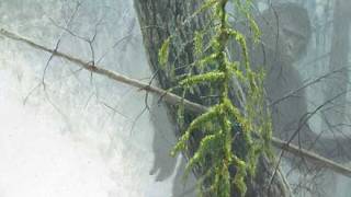 Sasquatch Bigfoot: Legend Meets Science (Video)