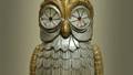Strange transforming Owl takes on different forms (Video)