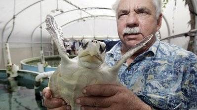 Biologist using Noah’s Ark idea to save sealife