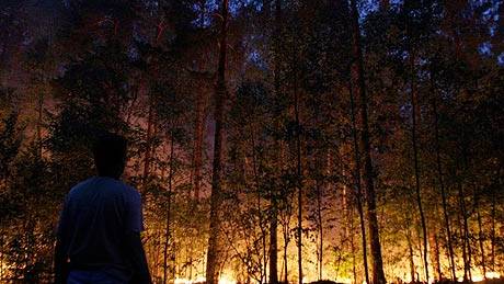 The Moscow Region On Fire: Russia declares state of emergency (Video)