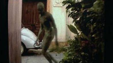 What aliens would really be like